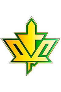 ОАО Гомельский ДСК