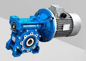 Мотор-редуктор